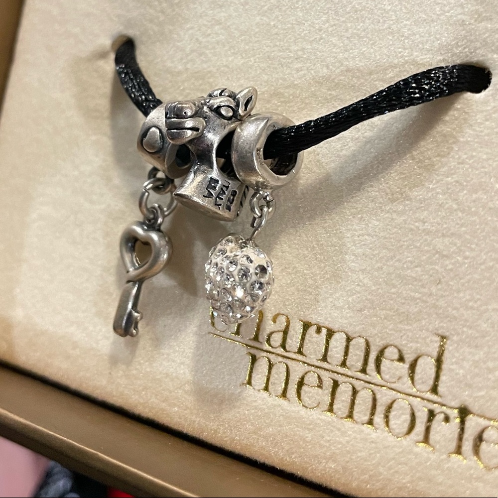 Charmed Memories charms